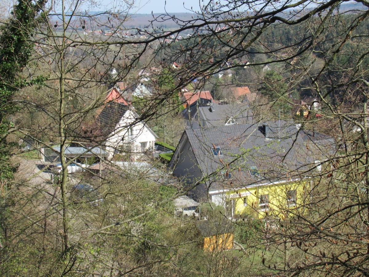 Le Clos D'Aure. Oberhaslach Dış mekan fotoğraf