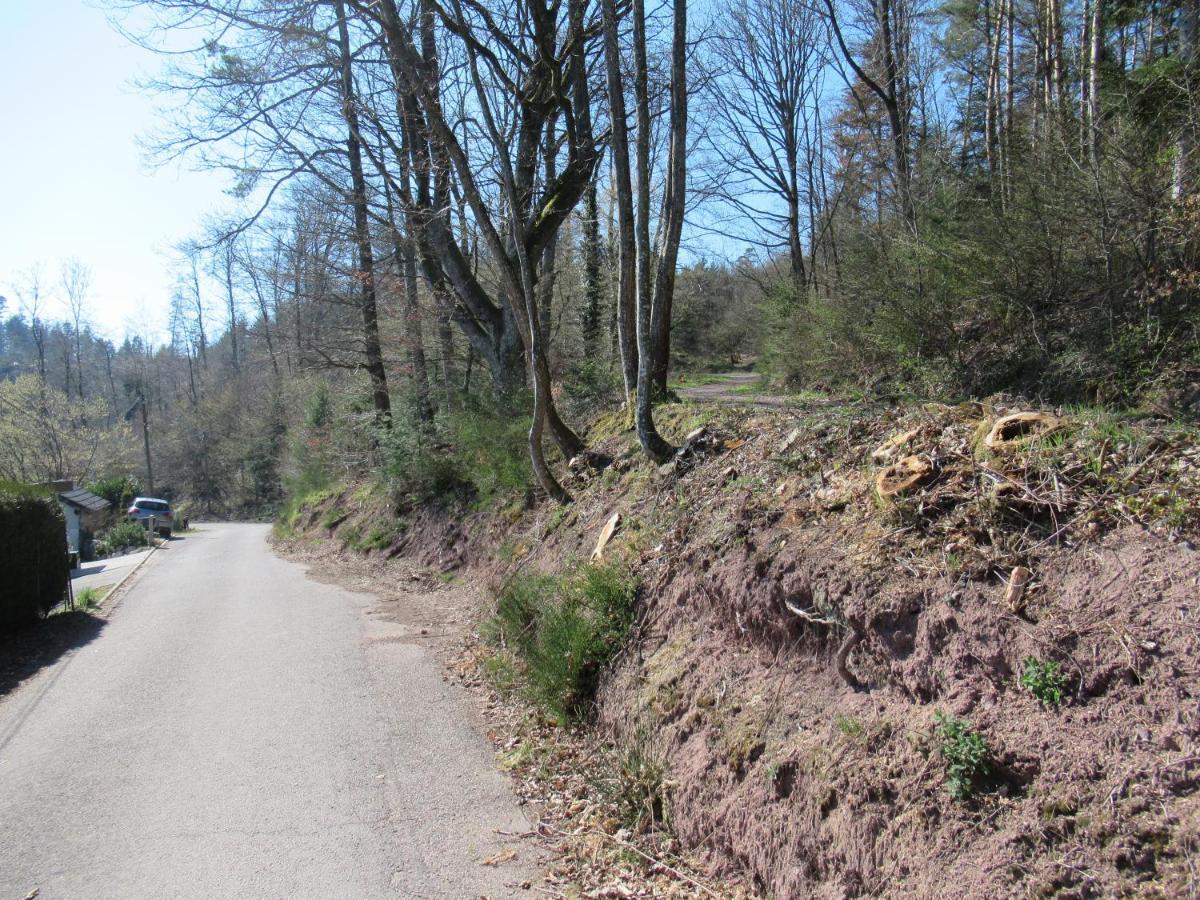 Le Clos D'Aure. Oberhaslach Dış mekan fotoğraf