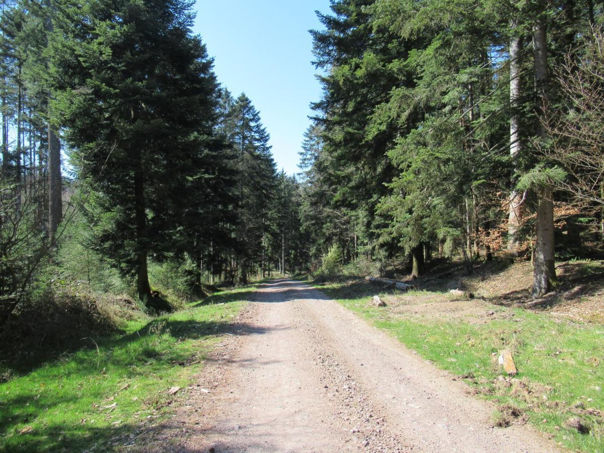 Le Clos D'Aure. Oberhaslach Dış mekan fotoğraf