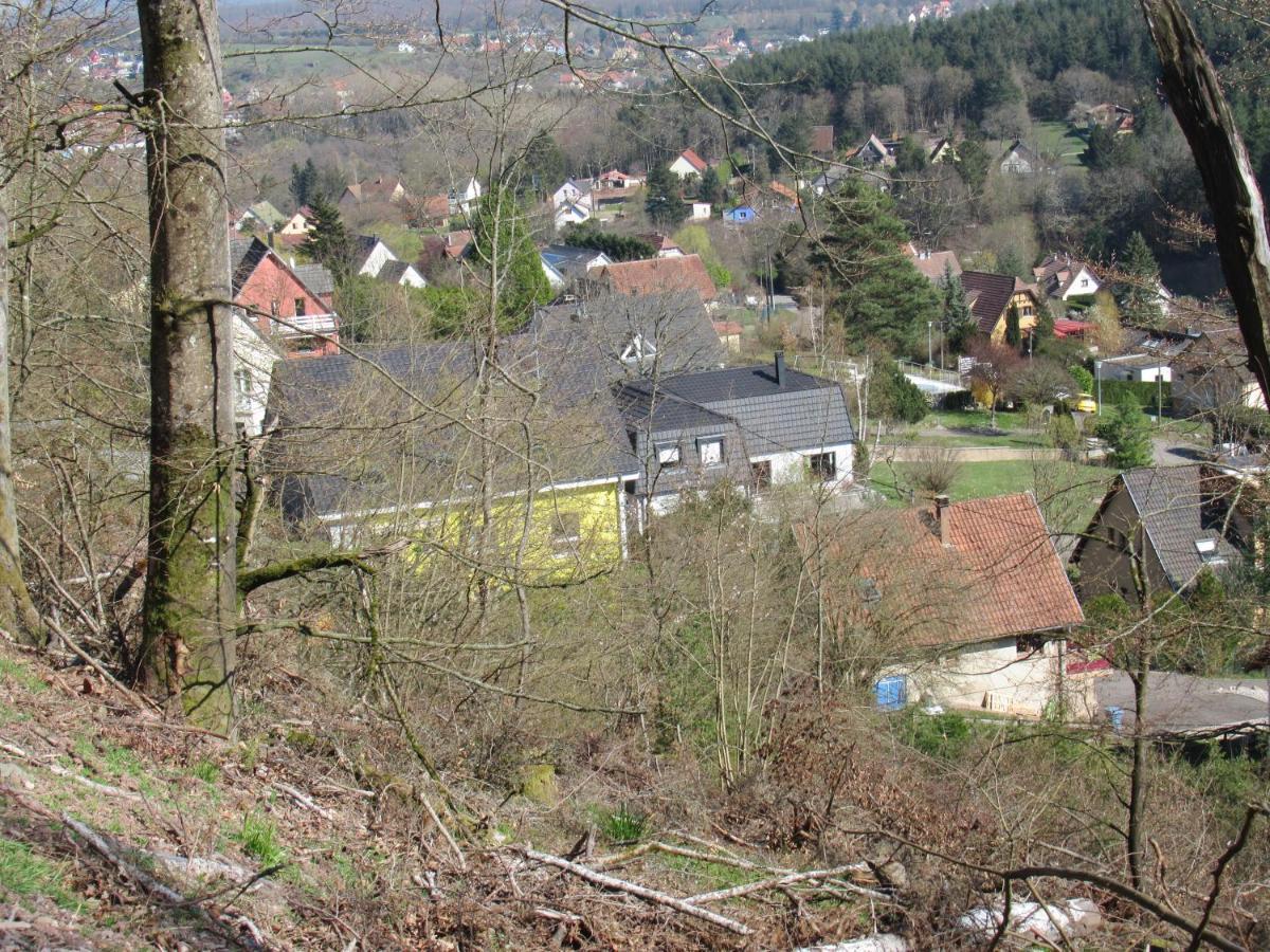 Le Clos D'Aure. Oberhaslach Dış mekan fotoğraf